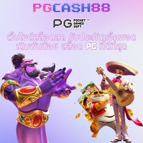 เว็บทดลอง pg