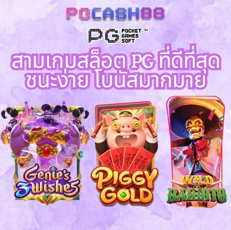 เว็บทดลอง pg